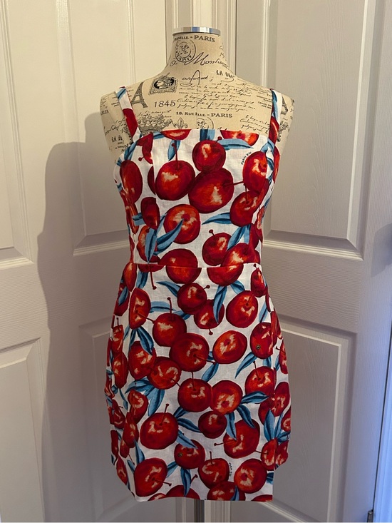 FARM Rio Dresses & Skirts - Farm Rio Cherry Blossom Sleeveless Mini Dress